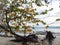 The famous  beach  of andaman  chidiya tapu beach ,with logos  and bay of bengal  in the  back ground